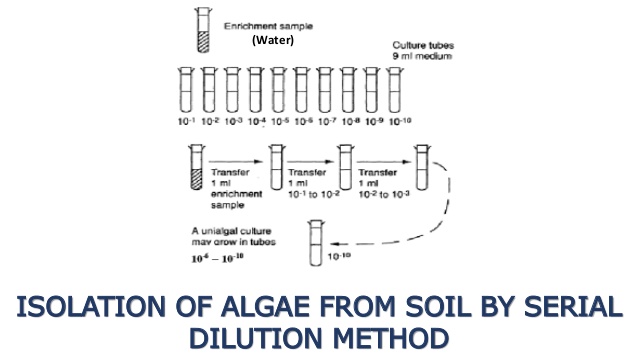 advantages and disadvantages of serial dilution method